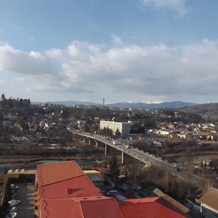 Mountain View Apartman Cîmpulung Kültér fotó