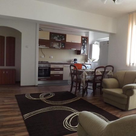 Mountain View Apartman Cîmpulung Kültér fotó