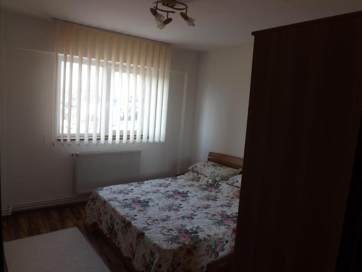 Mountain View Apartman Cîmpulung Kültér fotó