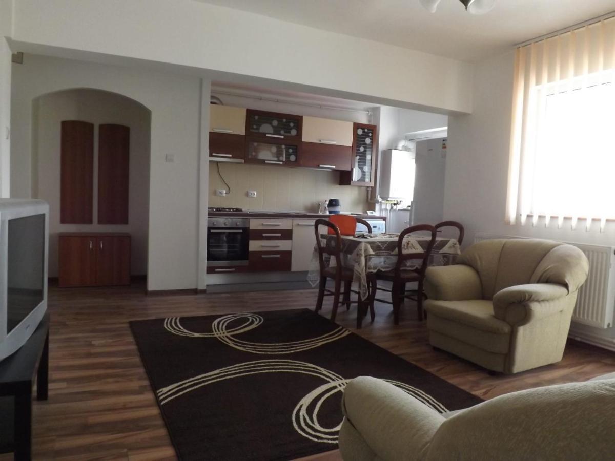 Mountain View Apartman Cîmpulung Kültér fotó