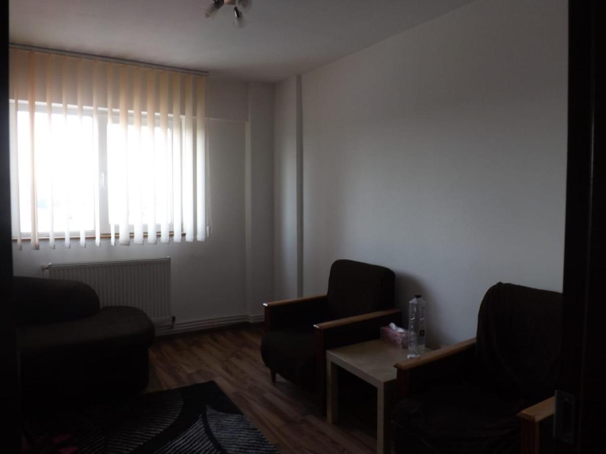 Mountain View Apartman Cîmpulung Kültér fotó